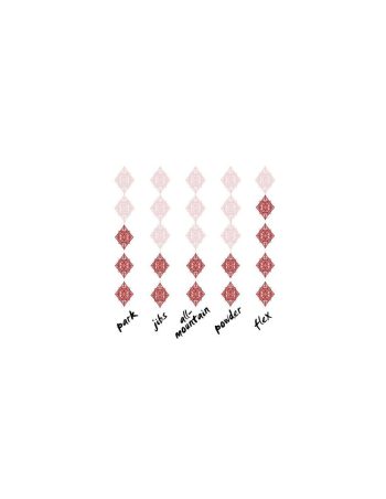 Nitro Snowboards Future Team